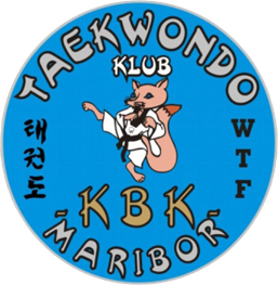 taekwondo